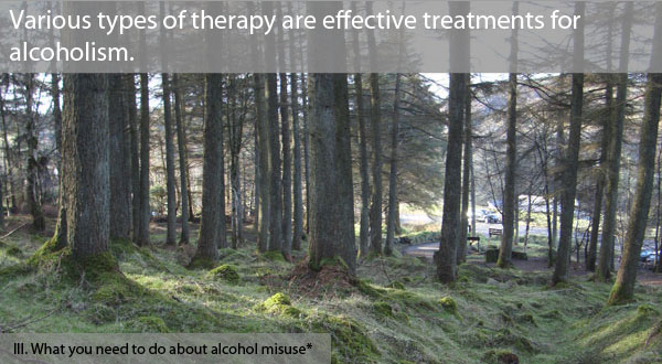 AA has been a powerful tool in helping many people to recover from alcohol misuse.